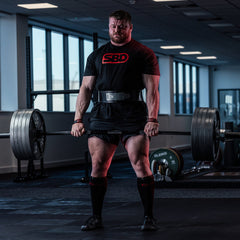 Benzi de tracțiune Flat Loop